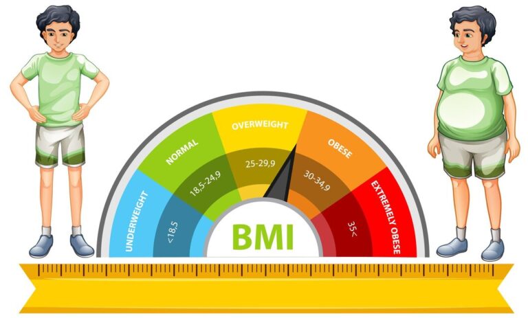 bmi-scale-with-weight-categories_1308-168780