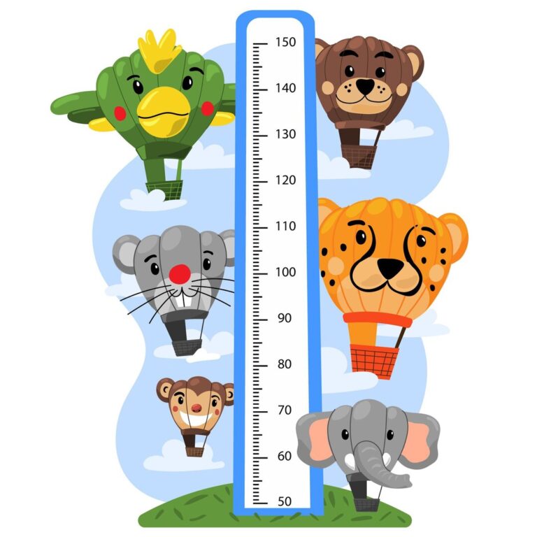 cartoon-height-meter-kids_23-2148893267