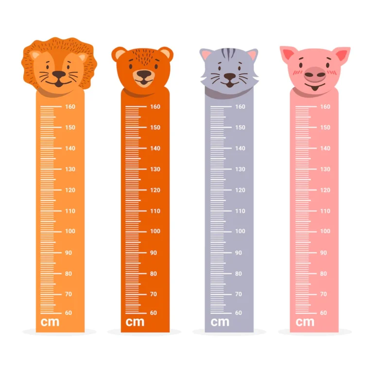 flat-design-height-meters_23-2148888736