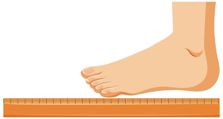 measuring-foot-size-vector_1308-117201