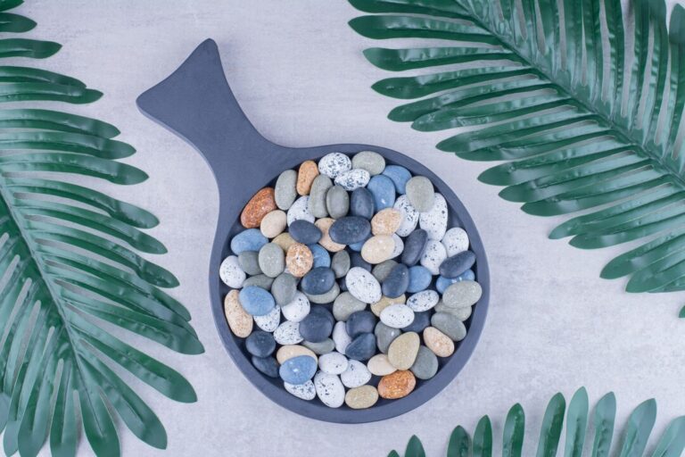 multicolor-beach-stones-platter-concrete-surface_114579-71102